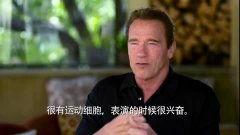 阿诺爆料视频大全最新,揭秘娱乐圈幕后真相